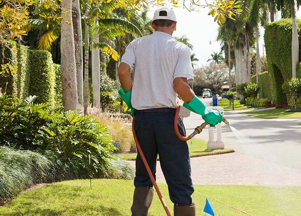 About Pineville SC Pest Control Pros